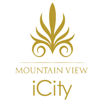 Mountain View iCity